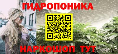 2c-b Канаш