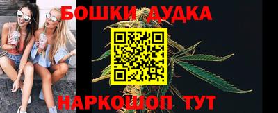 прущие грибы Кандалакша