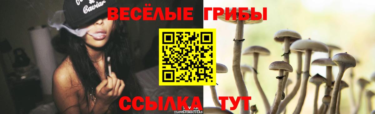 Ленинск-Кузнецкий  Галлюциногенные грибы прущие грибы  Галлюциногенные грибы Cubensis  Вход с VPN 